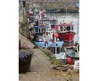 Im Hafen von St. Andrews